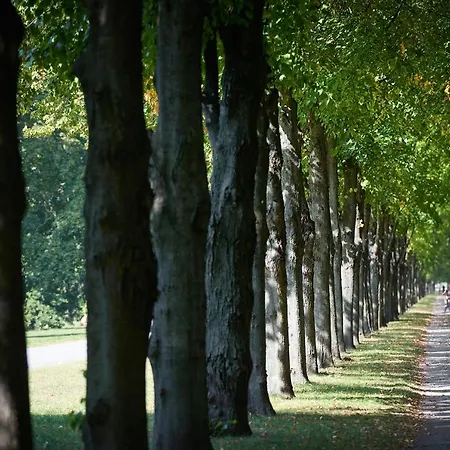 Business Apartment *