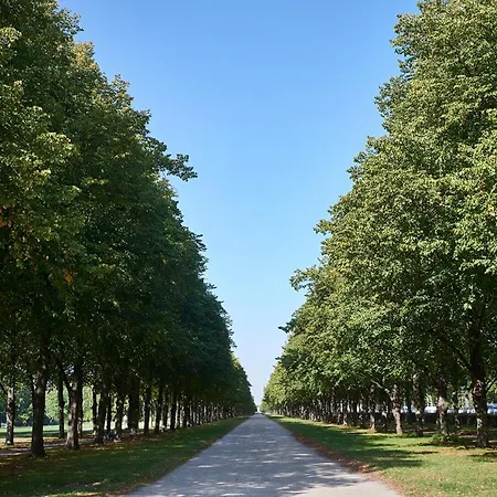 Apartment Business *